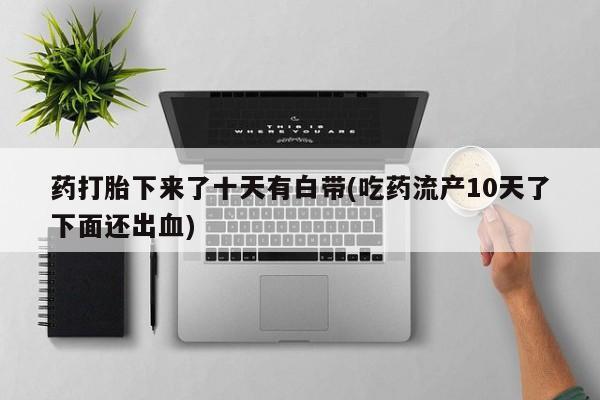admin 第317页