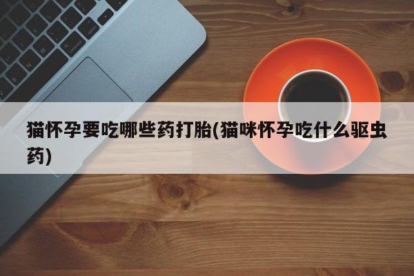 药流药猫怀孕要吃哪些药打胎(猫咪怀孕吃什么驱虫药)
