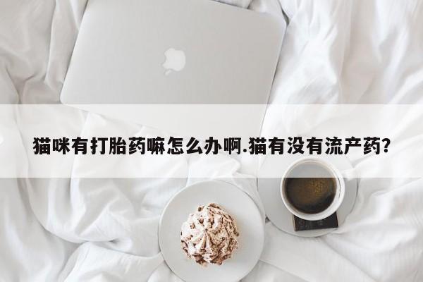 药流药猫咪有打胎药嘛怎么办啊.猫有没有流产药？