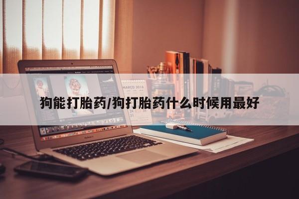 药流药狗能打胎药/狗打胎药什么时候用最好
