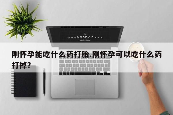 药流药刚怀孕能吃什么药打胎.刚怀孕可以吃什么药打掉？
