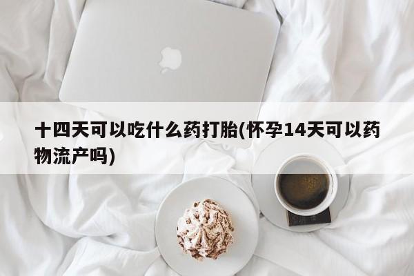 药流药十四天可以吃什么药打胎(怀孕14天可以药物流产吗)